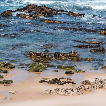 Mosca - 4 Bedrooms & Bbq, Tatil Evi Santa Cruz (Oeste)